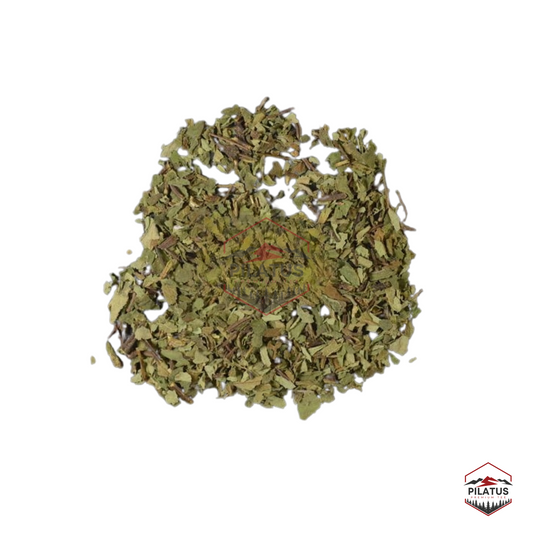 Pineapple Sage ORGANIC Cut