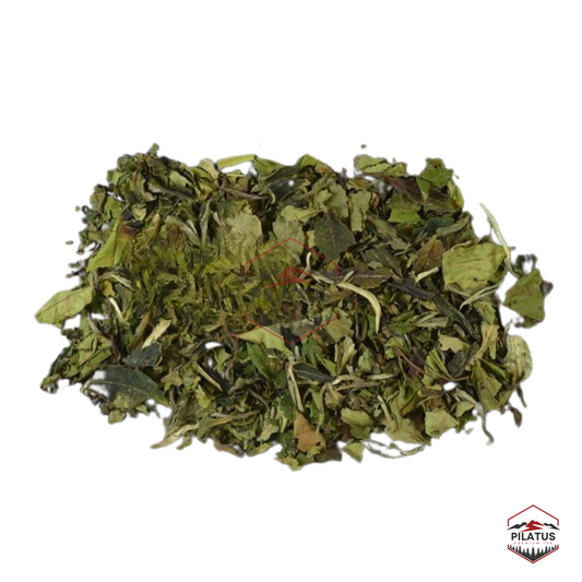 Pai Mu Tan ORGANIC White Tea