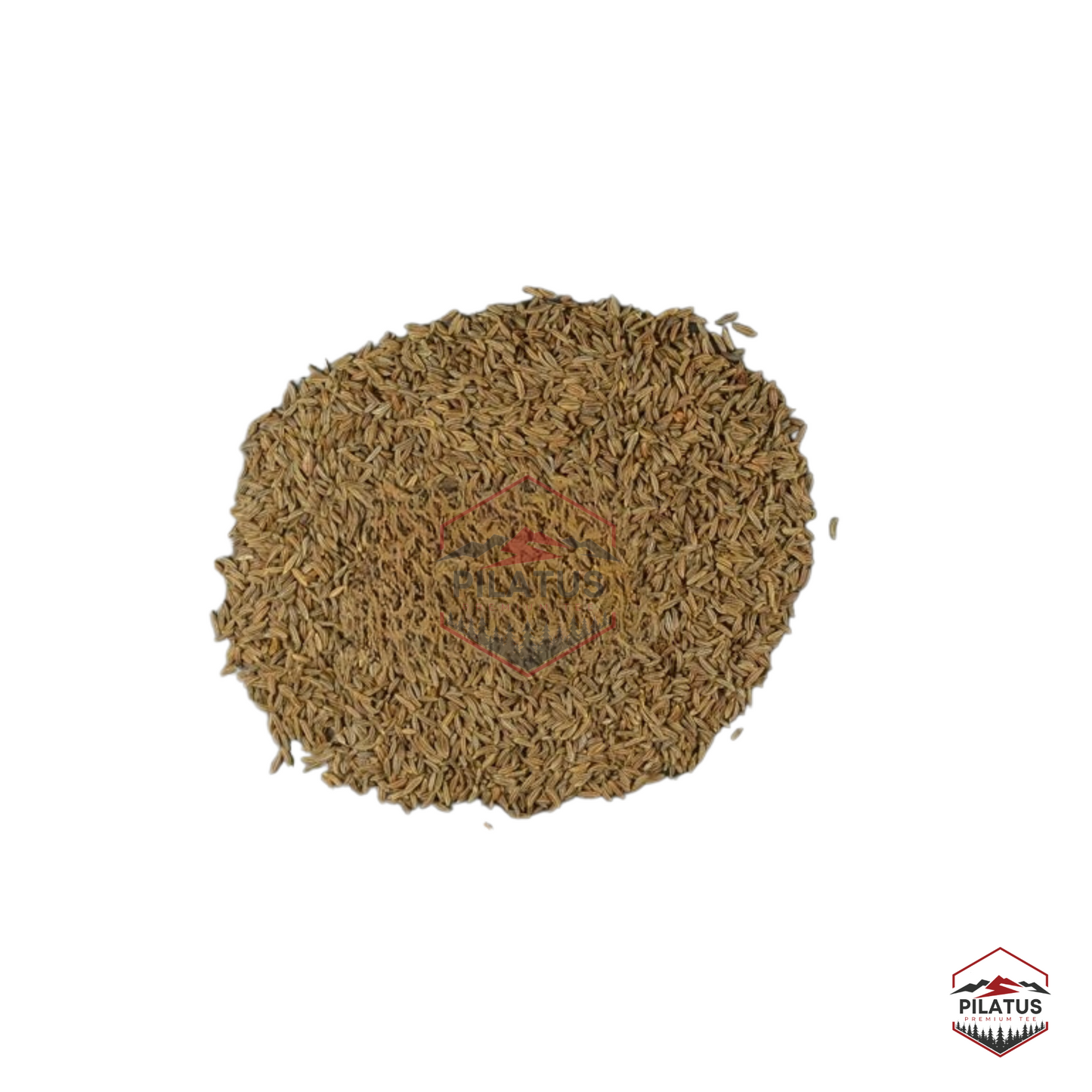 Caraway ORGANIC Whole